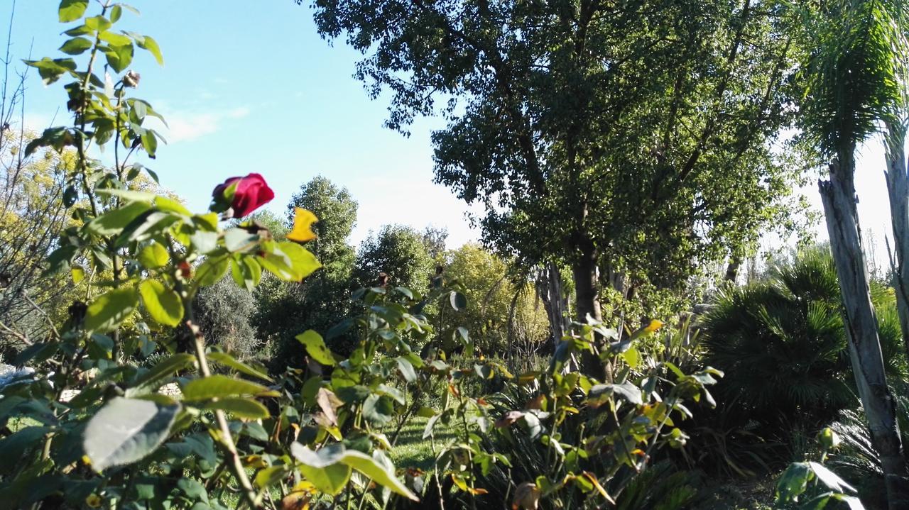 Tenuta Le Pantanelle Villa Sezze Eksteriør billede